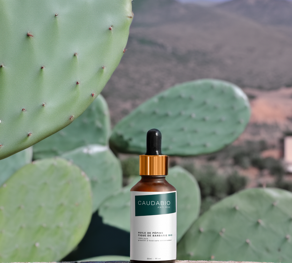 Les Bienfaits et Utilisations de l’Huile de Figue de Barbarie et l’Huile de Pépins de Figue de Barbarie.