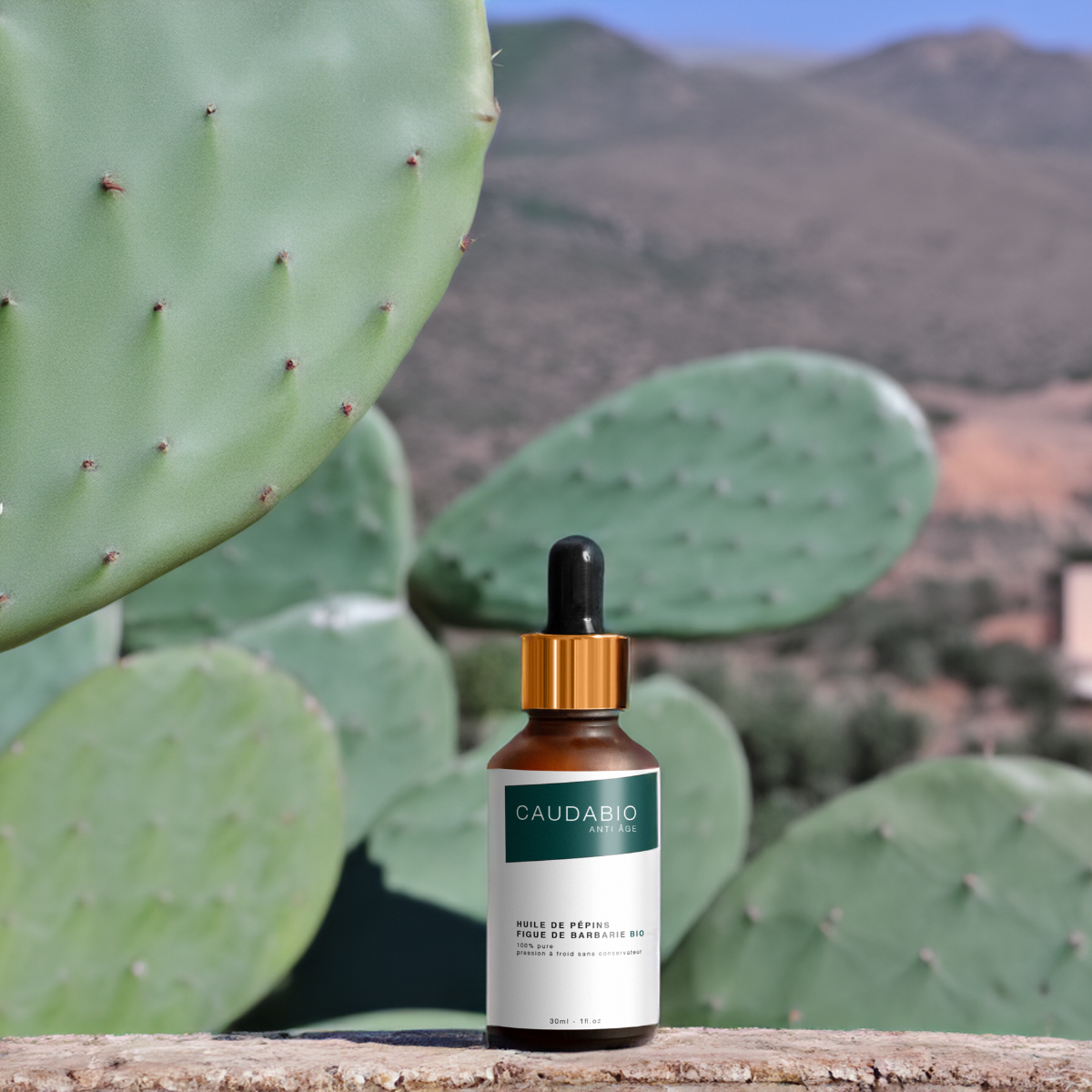 Les Bienfaits et Utilisations de l’Huile de Figue de Barbarie et l’Huile de Pépins de Figue de Barbarie.