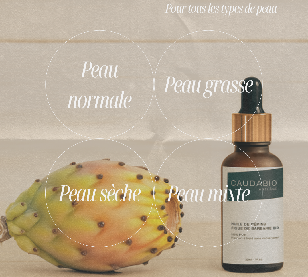 huile figue de barbarie, figue de barbarie huile, huile de figue barbarie, huile de pepin de figue de barbarie, huile pepins figue de barbarie, huile de pepin figue de barbarie, huile pepins de figue de barbarie, huile de pepine de figue de barbarie